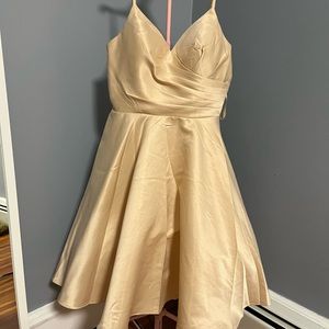Champagne Damas Dress